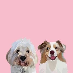 Meet your Posher, Sue